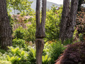 IMG-0831