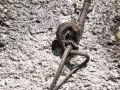 sergio_pallaus_0061_1