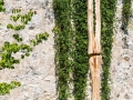 sergio_pallaus_0074_1
