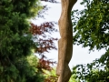 sergio_pallaus_0075_1